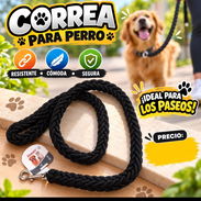 Correa para Mascotas - Img 57834443