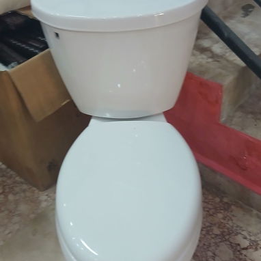 Taza monolitica y Taza tanque con todos sus accesorios - 3/3