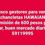Busco gestores para venta venta de chancletas 600 pesos venta muy buena diaria - Img 56498179