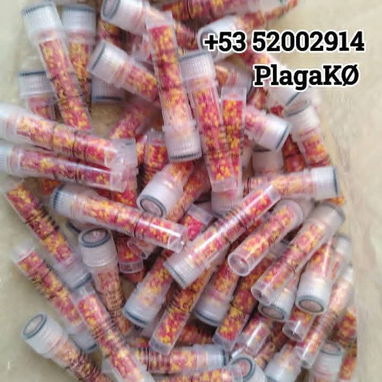 Cebos para moscas y mosquitos. - Img 119329011