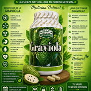 Graviola - Img 57526900
