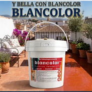 Pinturas,vinil, esmalte, impermeable - Img 55626667