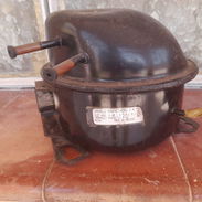 Máquina para frío de mantenimiento - Img 56558688