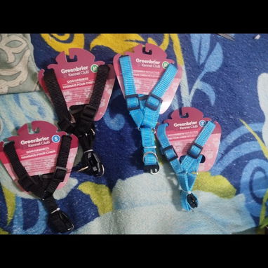 Pecheras y correas para perros y gatos - Img 125212938
