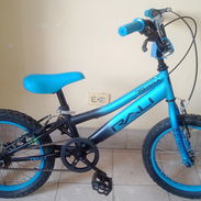 Bicicleta 16 Raly - Img 55700036