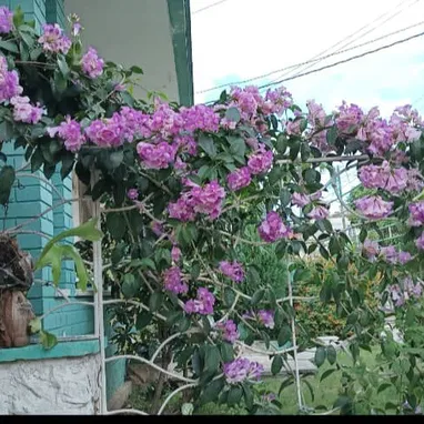 Venta de casa en Santos Suarez, 10 de octubre - Img 124502914