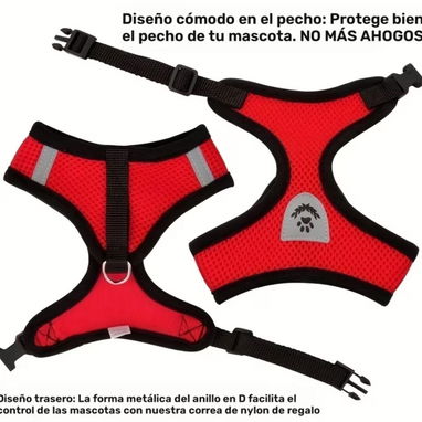 Pechera con correa - Img 117764004