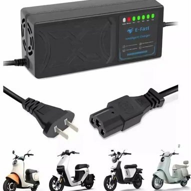 Cargador moto 48v 20 ah - 2/2