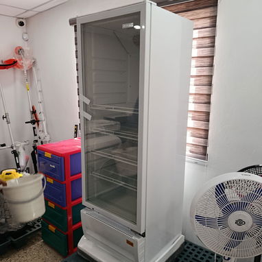 Exhibidor Royal de 12.5 pie - Img 114955821