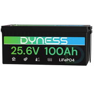 (X) Batería LiFePO4 24V 100Ah (2560Wh) Dyness con BMS 100A y Protección de Baja Temperatura – Ideal para Sistema Solar, - Img 56829071