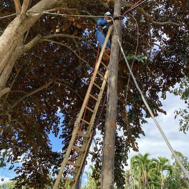 ¡¡¡CAMARAS Y ALARMAS!!! Instalación de Sistemas de Alarmas y Cámaras!!! - 3/7