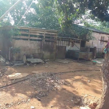 Finca en Venta - 6/10