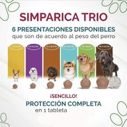 SIMPARICA TRÍO PARA PERROS - Img 57451818