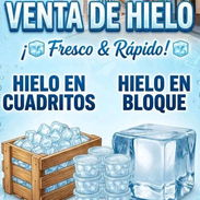 Hielo - Img 56905608