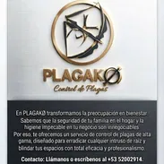 Fumigación Solo Con PlagaKØ - Img 57849158