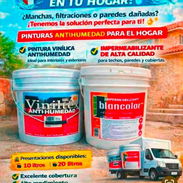!!!!!Impermeable rojo gris verde blanco y vinil todo los colores !!!! - Img 56682820