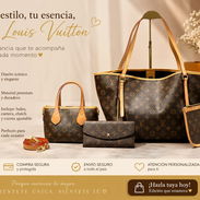 Inspirada en Luis Vuitton - Img 55937258