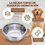 Plato de acero inoxidable mediano de 64oz para mascotas, ideal para perros medianos. - Img 55876441