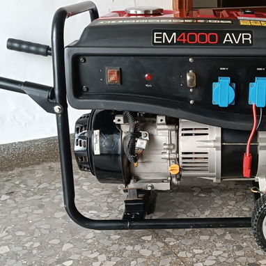 Planta eléctrica de gasolina 4000 AVR - 4/8
