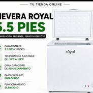 Nevera royal d 5.5 - Img 55589232