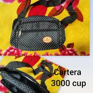 Cartera de Mujer - Img 56335544