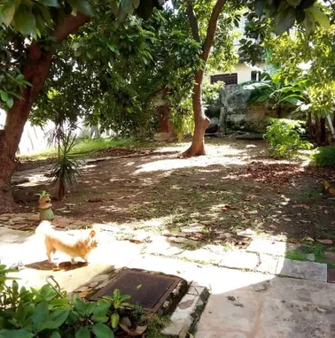 Ofertazo vendo casa grande en playa rebaja hoy - Img 94184400