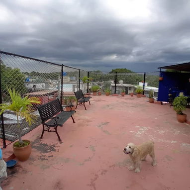 SE VENDE CASA EN SAN MIGUEL DEL PADRÓN! - 10/10