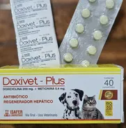 Antibiótico y protector hepático para perros y gatos - Img 49167160