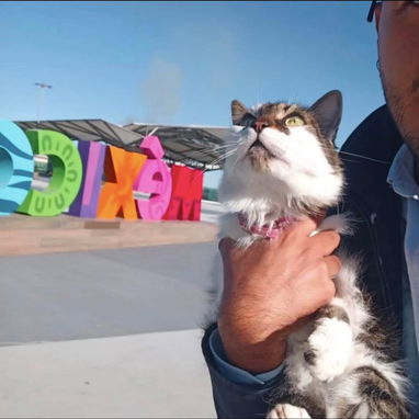 Agencia de viajes de mascotas - Img 122248377