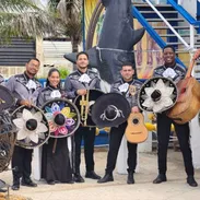 Mariachi - Img 56975859