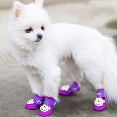 Zapatos de goma impermeable para mascotas Protéjala del calor del suelo y el agua en tiempos de lluvia! Calidad de vida! - Img 124260453