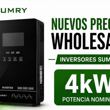INVERSOR SUMRY 4KW+ BATERIA 26.5V 100 Ah - 2/2