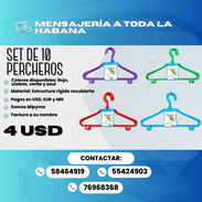 SET DE 10 PERCHEROS — $4 USD - Img 57212857