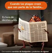 Fumigación: Acabamos con Todas las Plagas - Img 50154692