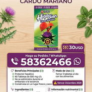 Cardo Mariano - Img 57135109
