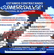 ‼️SE BUSCAN COMERCIALES‼️ - Img 49543637