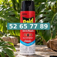 Raid para cucaracha - Img 57413058