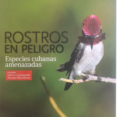 Se venden libros para decoración - Img 121794631