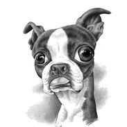 DIBUJO A TU PERRO!!! - Img 58034365