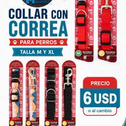 Collar con correa para perros medianos y grandes - Img 56170923