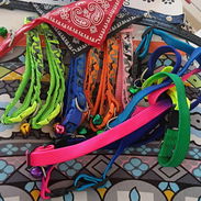 Collares para perros pequeños - Img 55752698