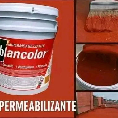 Pintura - Img 120306049