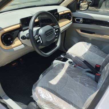 Carro eléctrico BAW L6 H - 6/8