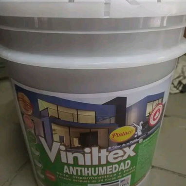 Pintura - Img 123814994