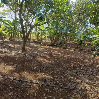 🍀"¡Parcela en venta en La Habana!  Tú oportunidad de inversión o vivienda" - Img 123632032
