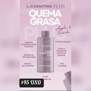 Nutriplus de L Carnitine - Img 55492900