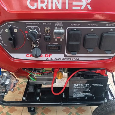 PLANTA ELÉCTRICA GRINTEX DUAL FUEL ORIGINAL A GAS Y GASOLINA - 5/6