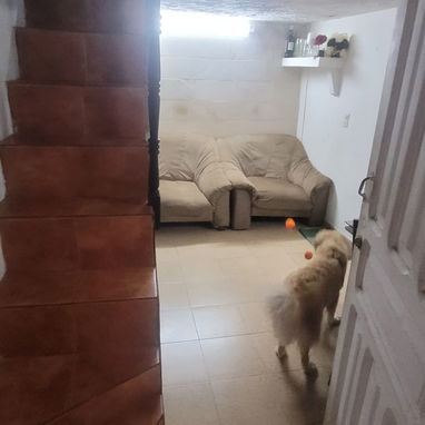 Vendo apartamento en centro Habana - Img 125994357