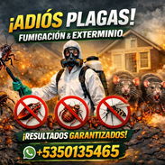 🔥 ¡ELIMINA LAS PLAGAS HOY MISMO O RECUPERA TU TRANQUILIDAD! 🔥 - Img 54822183