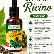 Aceite Ricino - Img 56376790